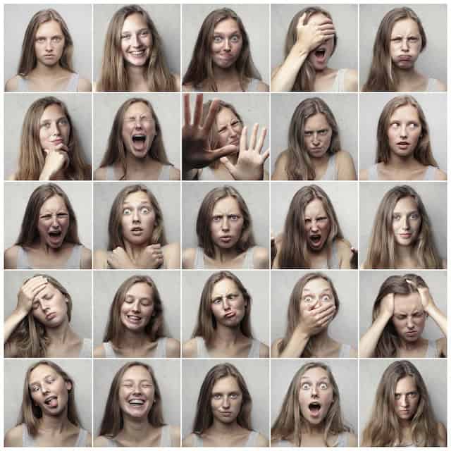 Unmasking Personality: Correlating Enneagram Types with The Myers-Briggs Personality Type Indicator